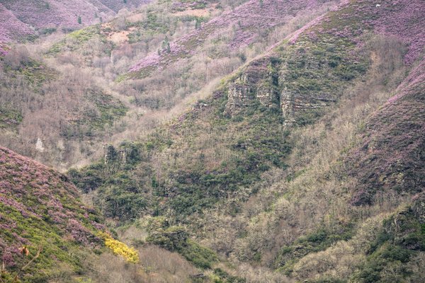 Comment élaborer un plan de succession qui sécurise l'avenir de votre entreprise familiale ?