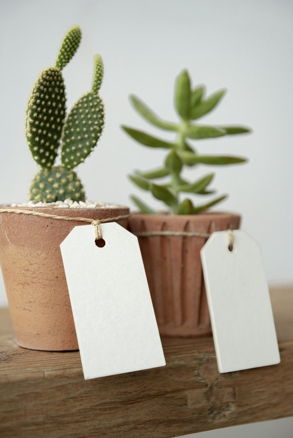 Fabricant d'étiquettes : les différents types de réalisations qu'il propose